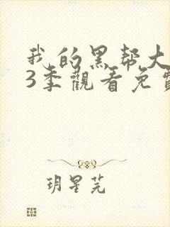 我的黑帮大佬第3季观看免费高清