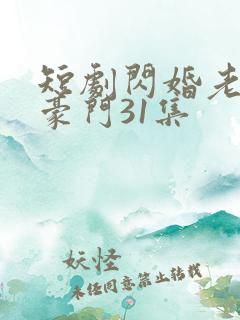 短剧闪婚老公是豪门31集