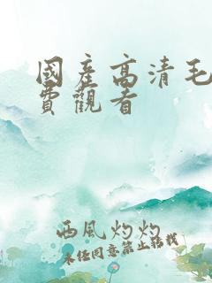 国产高清毛片免费观看