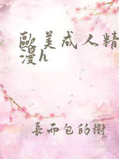 欧美成人精品动漫h