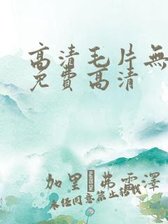 高清毛片无遮挡免费高清