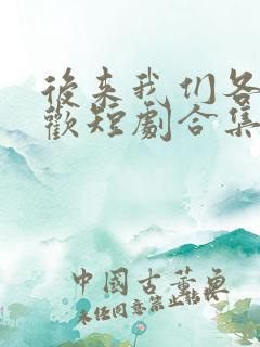 后来我们各自悲欢短剧合集