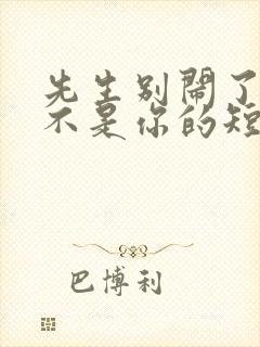 先生别闹了新娘不是你的短剧免费观看大结局