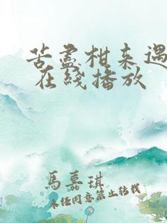 苦尽柑来遇见你 在线播放