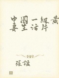 中国一级黄色夫妻生活片
