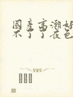 国产高潮好爽受不了了夜色