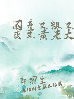 国产又粗又猛又爽又黄老大爷