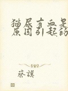 猫尿有血是什么原因引起的