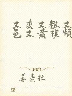 又爽又粗又猛又色又黄视频