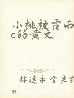 小桃被霍雨浩爆c的黄文