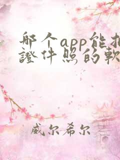 哪个app能拍证件照的软件