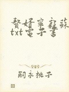 赘婿宁毅苏檀儿txt电子书