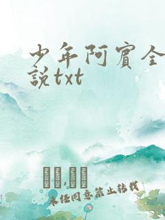 少年阿宾全文小说txt