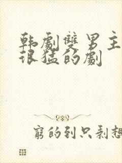 韩剧双男主开车很猛的剧