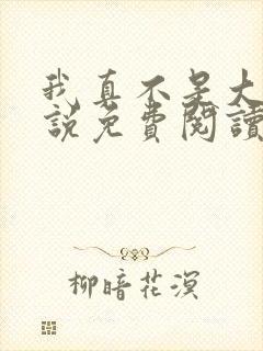 我真不是大佬小说免费阅读