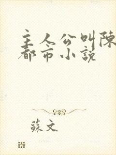 主人公叫陈风的都市小说