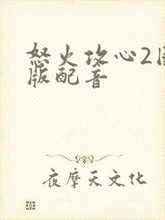 怒火攻心2国语版配音