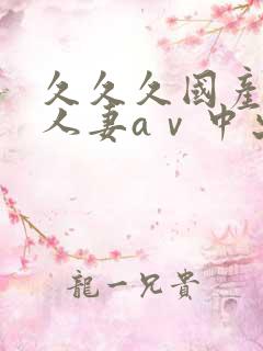 久久久国产精品人妻aⅴ中出