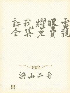 许我耀眼电视剧全集免费观看13集