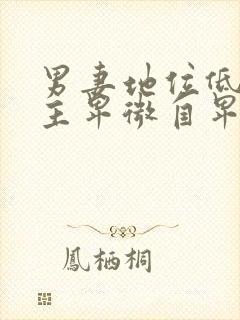 男妻地位低下男主卑微自卑的小说