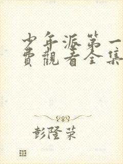 少年派第一季免费观看全集完整版