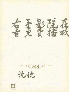 右手影院在线观看免费播放电视剧夺