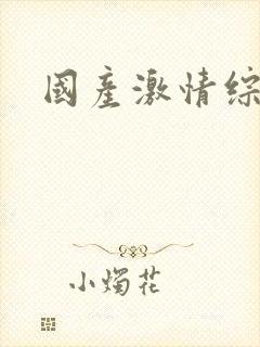 国产激情综合网