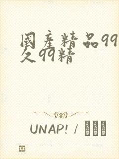 国产精品99久久99精