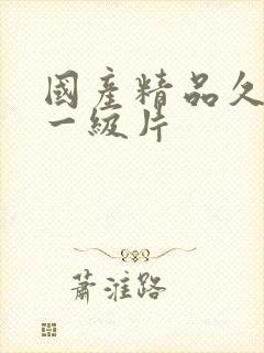 国产精品久久久一级片