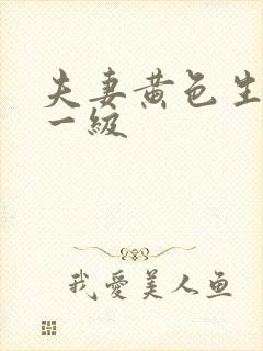 夫妻黄色生活片一级