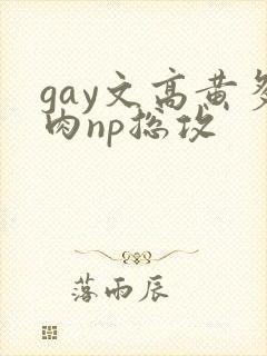 gay文高黄多肉np总攻
