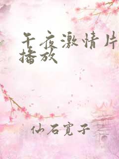 午夜激情片在线播放