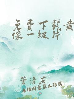 免费下载黄色录像一级片