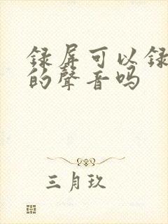 录屏可以录视频的声音吗