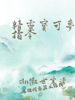 精灵宝可梦治疗指令