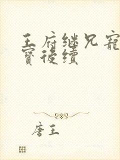 王府继兄宠我如宝后续