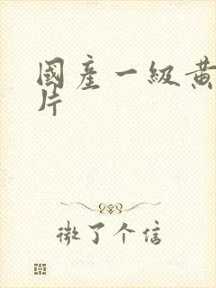 国产一级黄色视片