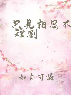 只见相思不见君 短剧