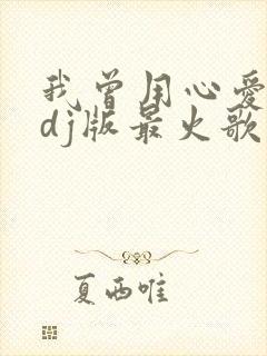 我曾用心爱着你dj版最火歌曲