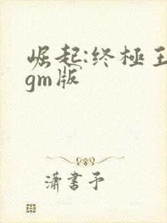 崛起:终极王者gm版