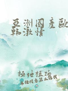 亚洲国产欧美日韩激情