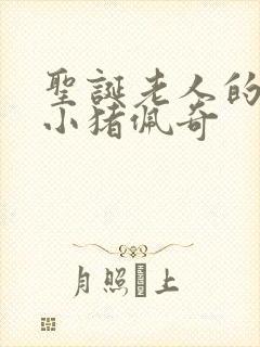 圣诞老人的来访小猪佩奇