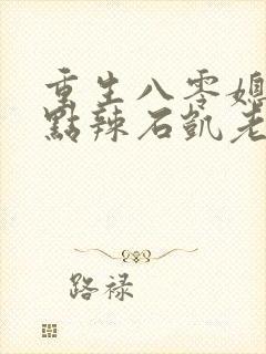 重生八零媳妇有点辣石凯老婆结局