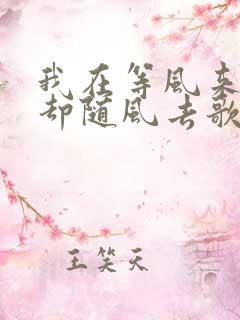 我在等风来,你却随风去歌词是什么歌