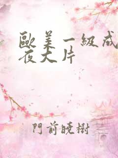 欧美一级成年午夜大片