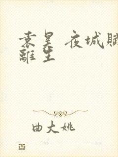 袁昊 夜城赋之离生