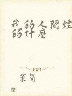 我的人间烟火讲的什么