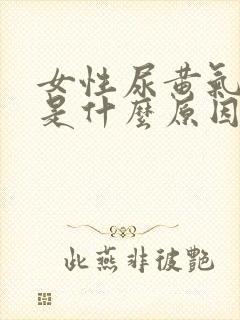 女性尿黄气味大是什么原因引起的