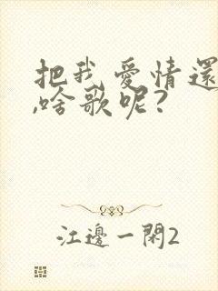 把我爱情还给我,啥歌呢?