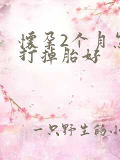 怀孕2个月怎么打掉胎好